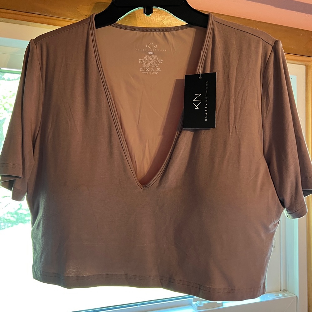 Klassy Network Mauve V-Neck Short Sleeve Crop Top